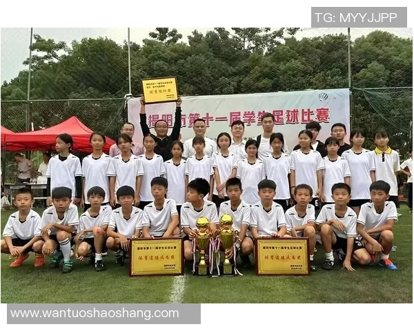 赛后分析：武汉足球队与西安足球队在战术灵活性上的较量与启示